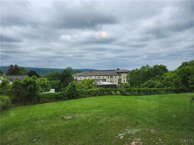 114 Stevens Pl, Syracuse, NY 13210 - view of grassy yard