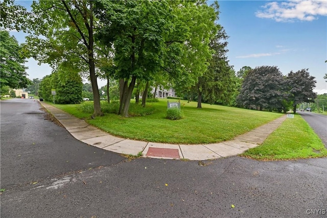 6188 Lake St, Aurelius, NY 13034 - surrounding community featuring a lawn