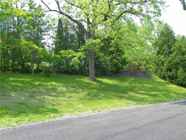 202-204-206 N Monroe St, Reading, NY 14891 - view of yard