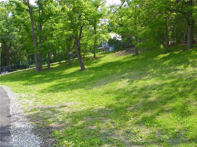 202-204-206 N Monroe St, Reading, NY 14891 - view of yard