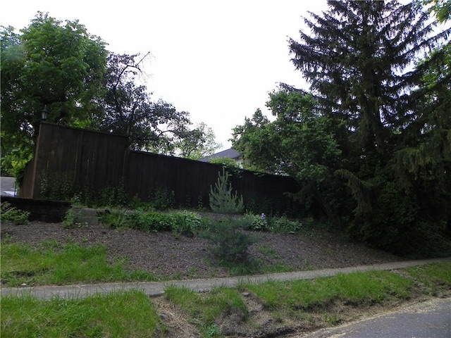 202-204-206 N Monroe St, Reading, NY 14891 - view of yard