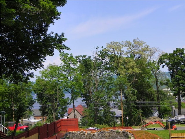 202-204-206 N Monroe St, Reading, NY 14891 - view of yard