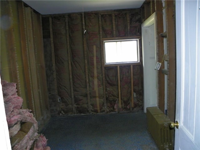 202-204-206 N Monroe St, Reading, NY 14891 - miscellaneous room featuring radiator