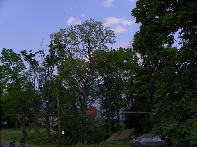 202-204-206 N Monroe St, Reading, NY 14891 - view of yard