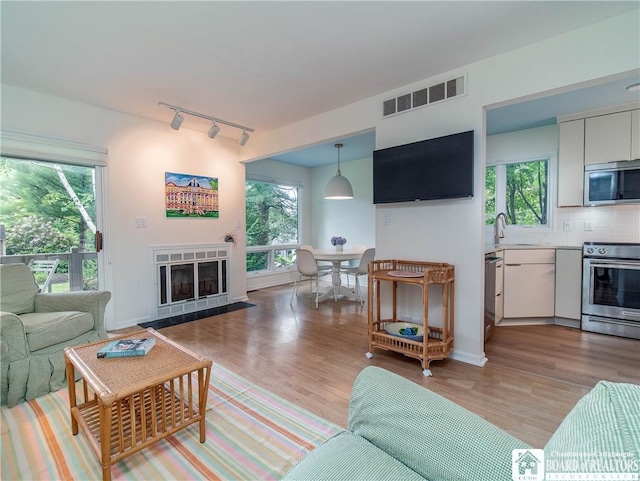 29 Elm Ln Unit 24, Chautauqua, NY 14722 - living area featuring light wood-type flooring, a fireplace, and healthy amount of natural light