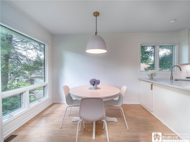 29 Elm Ln Unit 24, Chautauqua, NY 14722 - dining room with light wood-style floors and baseboards