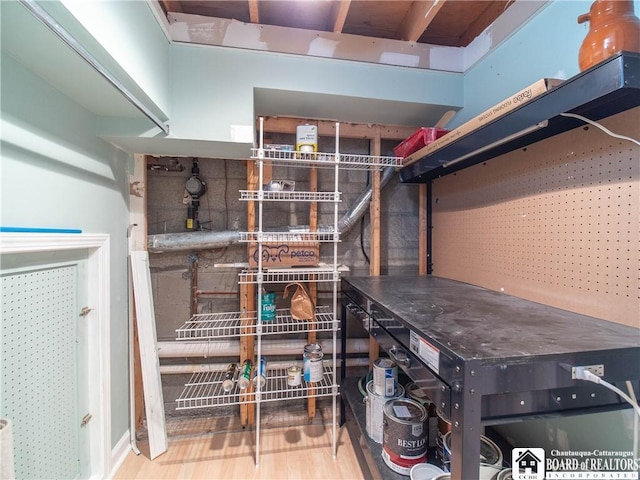 29 Elm Ln Unit 24, Chautauqua, NY 14722 - view of storage area