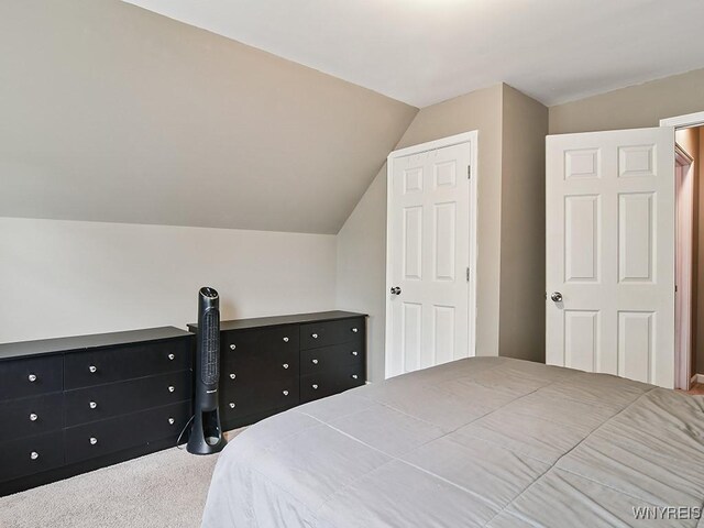 191 Gates St, Cheektowaga, NY 14212 - photo 24