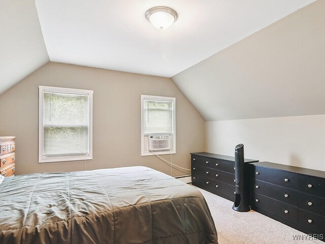 191 Gates St, Cheektowaga, NY 14212 - photo 27
