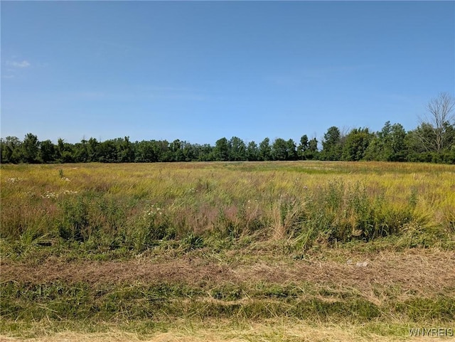 Coomer Rd, Newfane, NY 14108 - photo 2