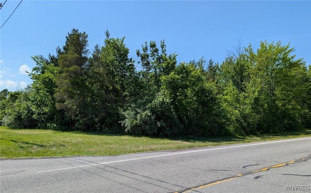 Coomer Rd, Newfane, NY 14108 - photo 5