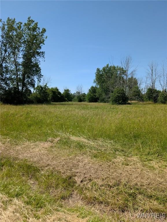 Coomer Rd, Newfane, NY 14108 - photo 6