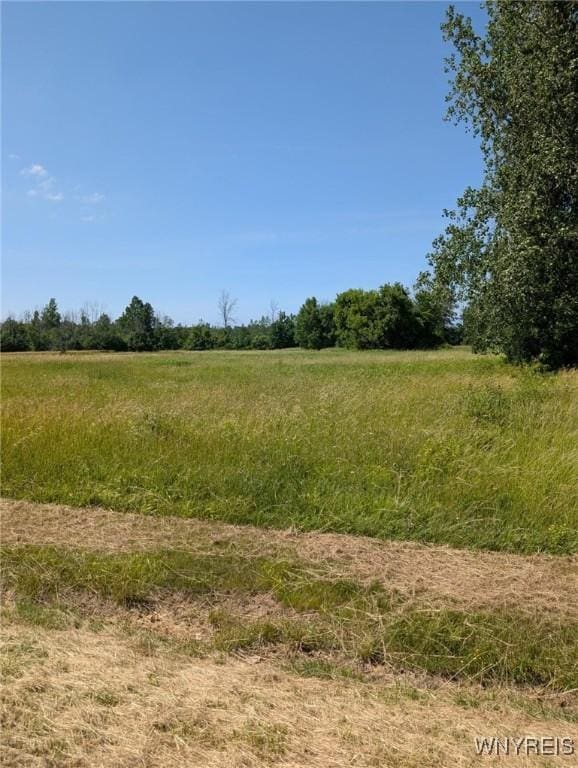 Coomer Rd, Newfane, NY 14108 - photo 7