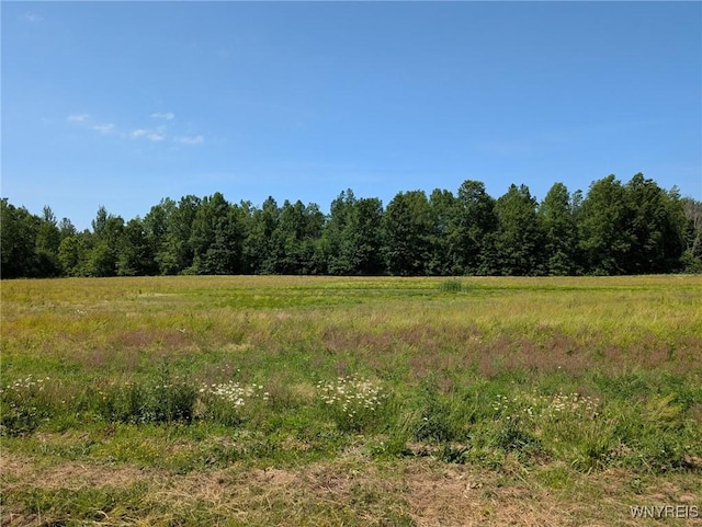 Coomer Rd, Newfane, NY 14108 - photo 8