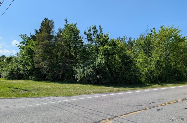 Coomer Rd, Newfane, NY 14108 - photo 9