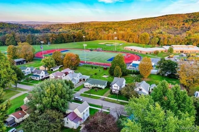 41 N Franklin St, New Albion, NY 14719 - bird's eye view of a forest