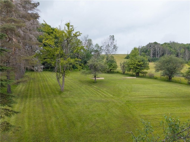 28 High St, Alfred, NY 14802 - photo 43