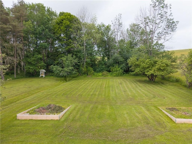 28 High St, Alfred, NY 14802 - photo 44