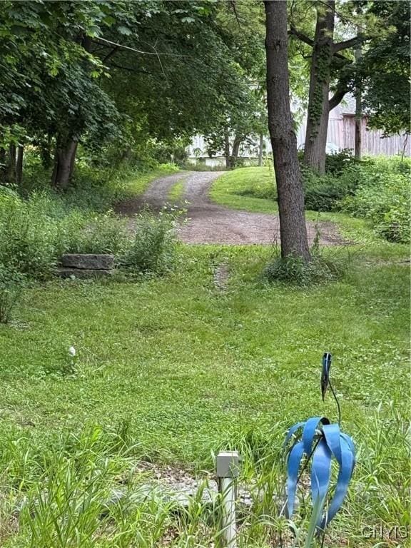 2487 E Lake Rd, Spafford, NY 13152 - view of yard