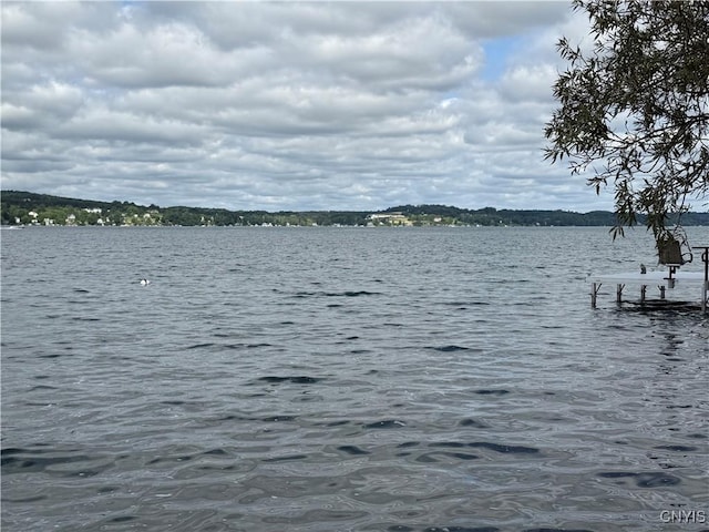 2487 E Lake Rd, Spafford, NY 13152 - water view