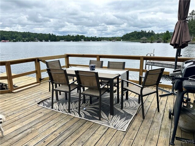 7376 Lake Ave, Diana, NY 13648 - photo 20