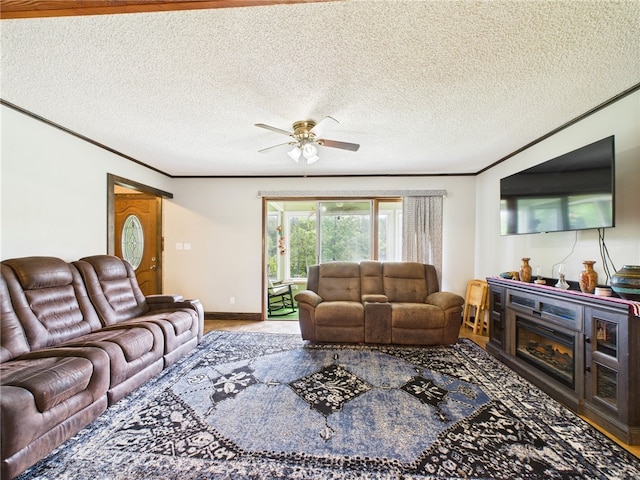 1029 Barden Brk, Ceres, PA 16731 - living room featuring ceiling fan, crown molding, a textured ceiling, and wood finished floors