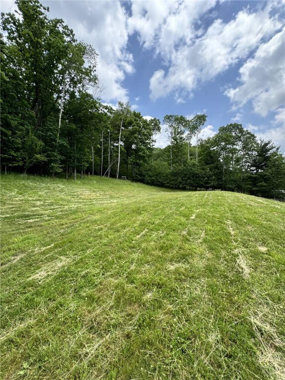1029 Barden Brk, Ceres, PA 16731 - view of grassy yard with a wooded view