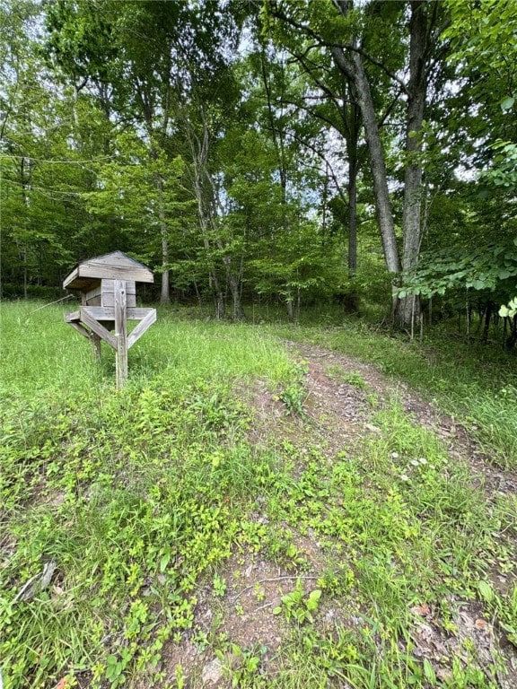 1029 Barden Brk, Ceres, PA 16731 - view of yard with a wooded view