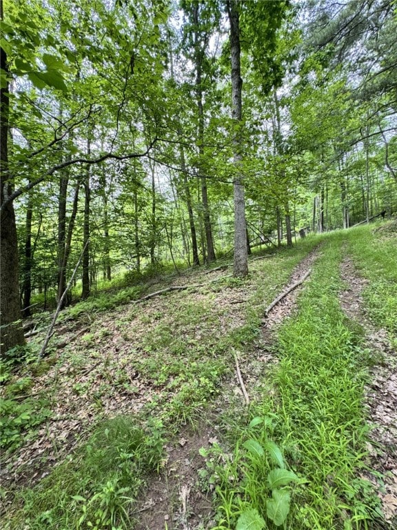 1029 Barden Brk, Ceres, PA 16731 - view of woods