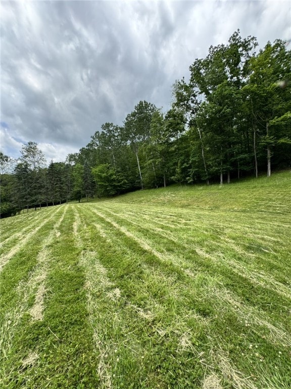 1029 Barden Brk, Ceres, PA 16731 - view of grassy yard featuring a forest view