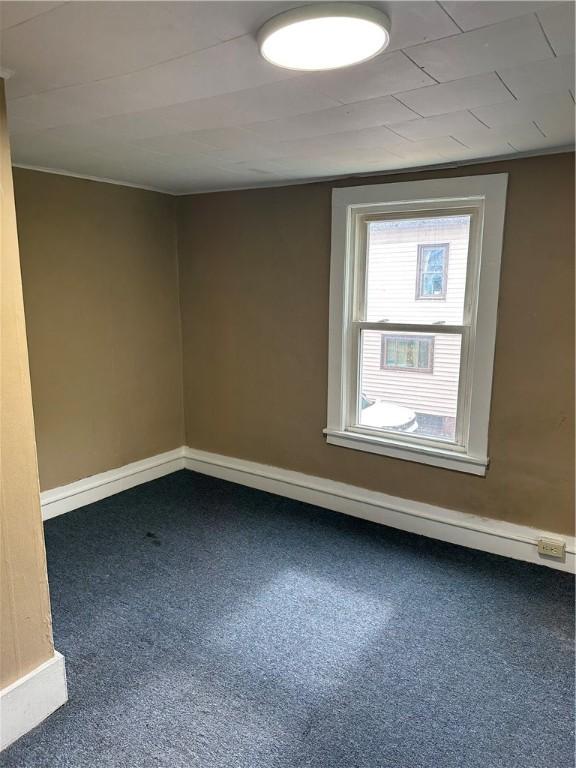 49 Frances St, Auburn, NY 13021 - photo 28