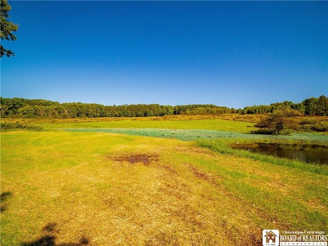 3710 Cowing Rd, Busti, NY 14750 - photo 23