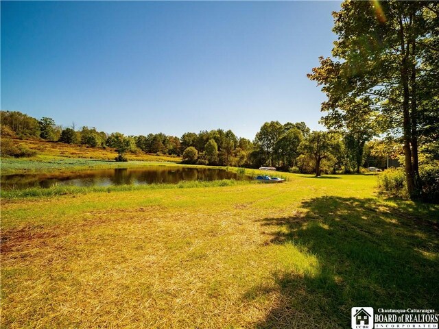 3710 Cowing Rd, Busti, NY 14750 - photo 26