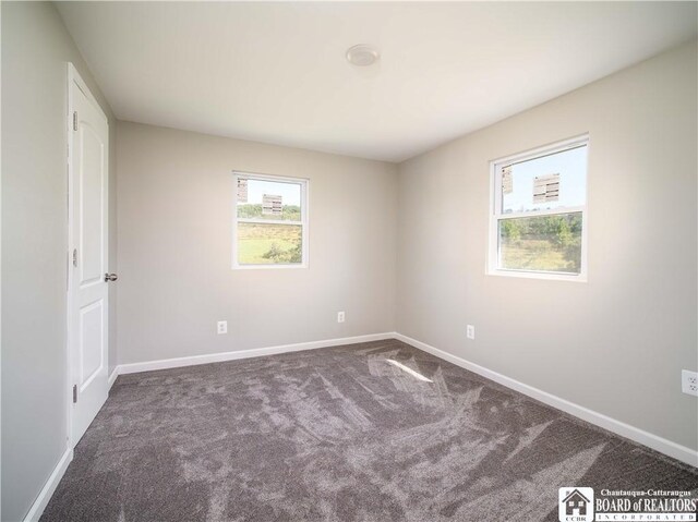 3710 Cowing Rd, Busti, NY 14750 - photo 15