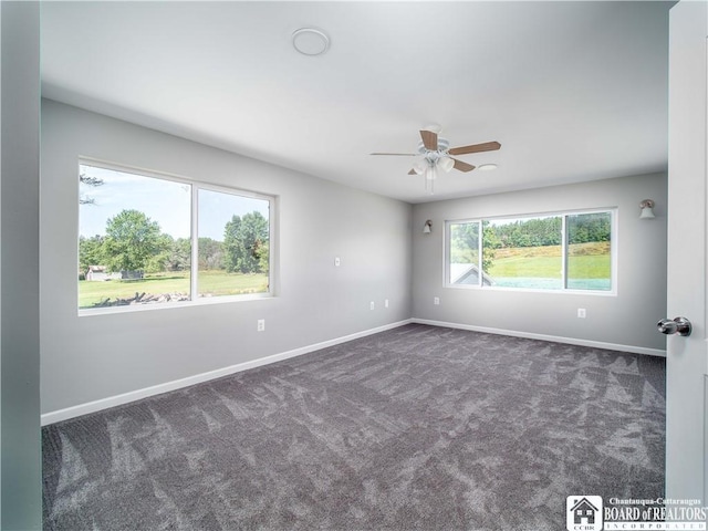 3710 Cowing Rd, Busti, NY 14750 - photo 18