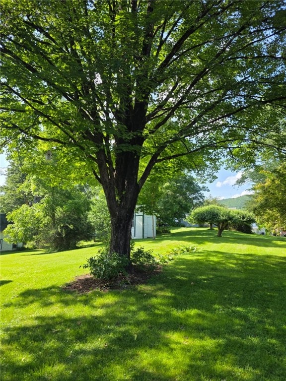 77 Vestal Ave, Hancock, NY 13783 - photo 3