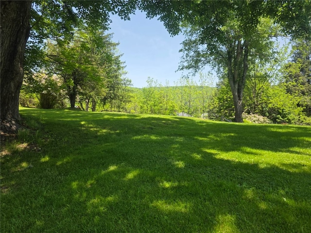 77 Vestal Ave, Hancock, NY 13783 - photo 4