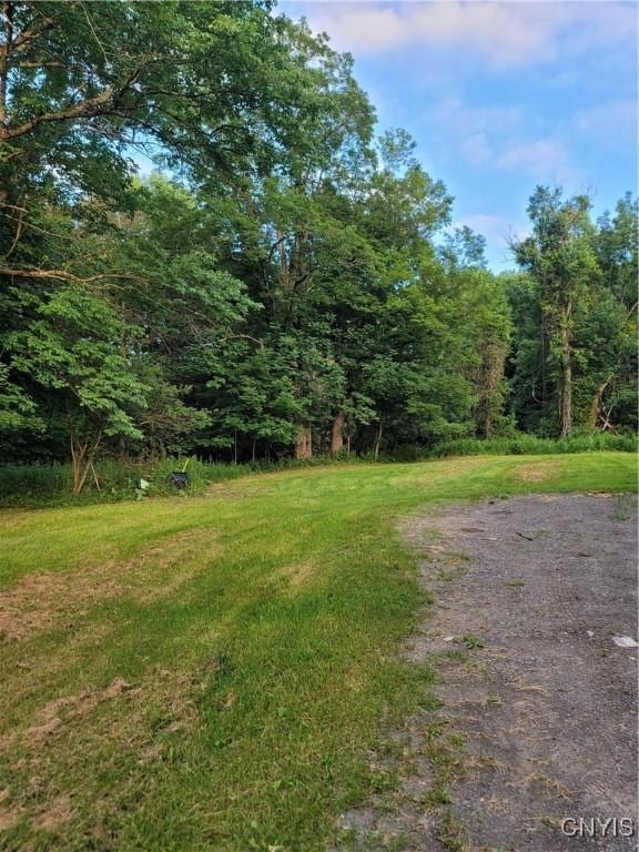 10652 Dayton Rd, Remsen, NY 13438 - photo 16