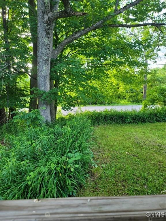10652 Dayton Rd, Remsen, NY 13438 - photo 5