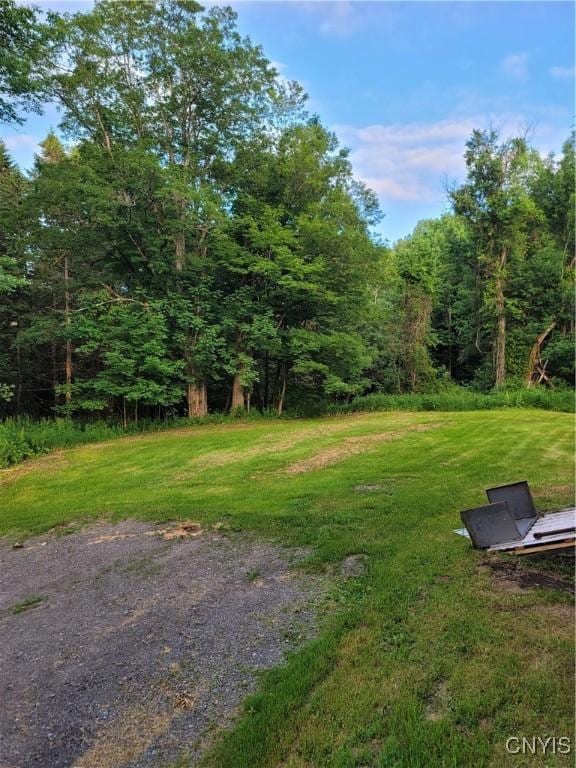 10652 Dayton Rd, Remsen, NY 13438 - photo 20