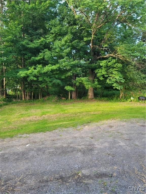 10652 Dayton Rd, Remsen, NY 13438 - photo 21