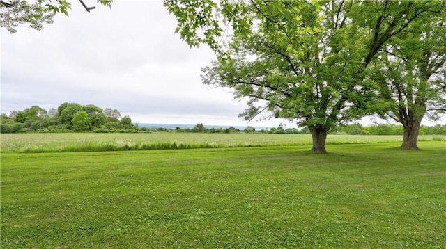 7270 Ann St, Ovid, NY 14521 - photo 41