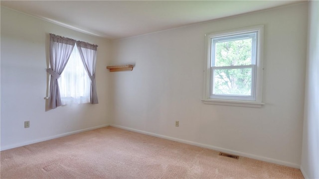 7270 Ann St, Ovid, NY 14521 - photo 31