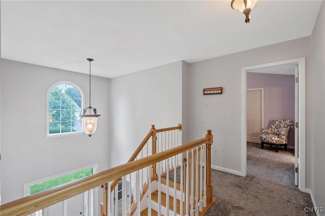8879 Kilkenny Dr, Lysander, NY 13027 - hallway with an upstairs landing and carpet