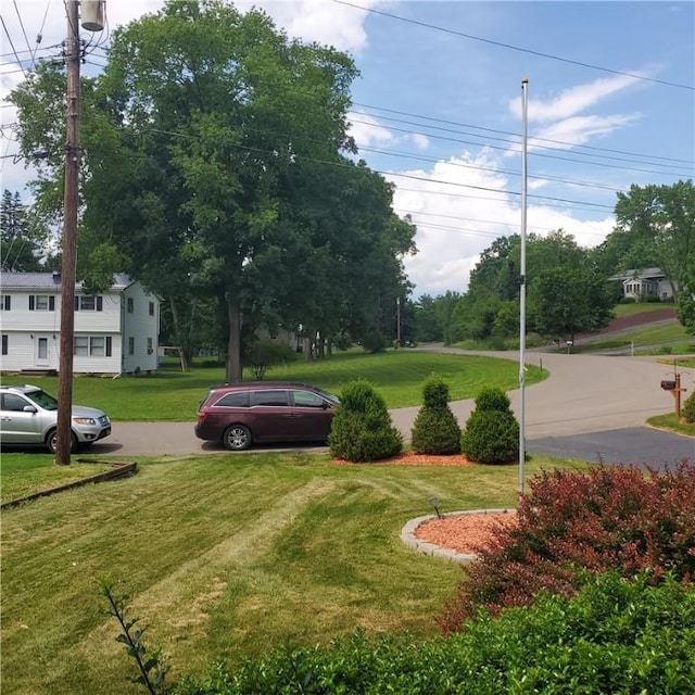 56 Briarcliff, Horseheads, NY 14845 - view of green lawn