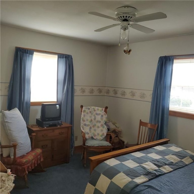 56 Briarcliff, Horseheads, NY 14845 - bedroom featuring a ceiling fan and carpet floors