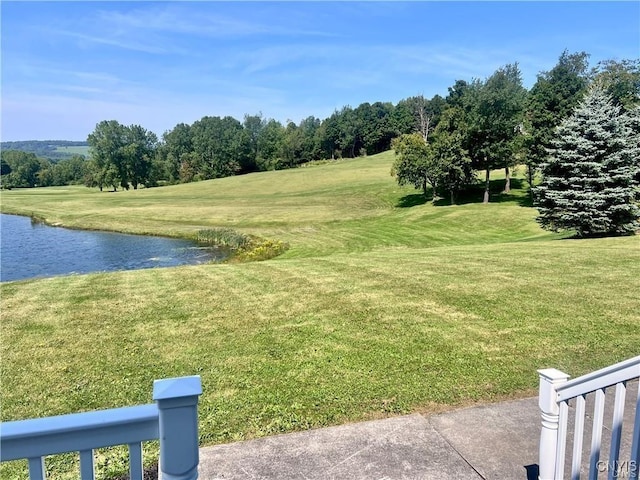 3307 Walden Oaks Blvd, Cortlandville, NY 13045 - photo 41