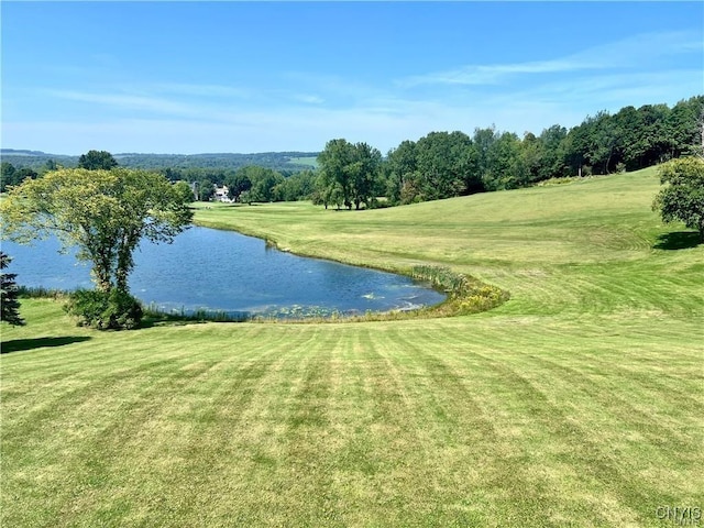 3307 Walden Oaks Blvd, Cortlandville, NY 13045 - photo 42
