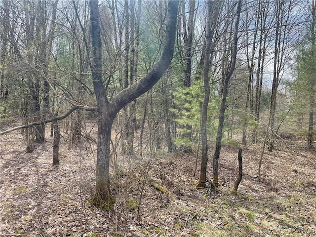 Listing photo - caption unavailable