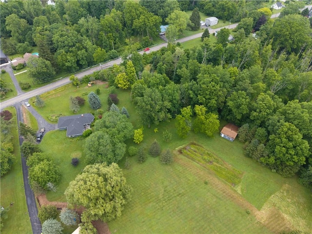 2105 Ireland Rd, Clarkson, NY 14420 - photo 28